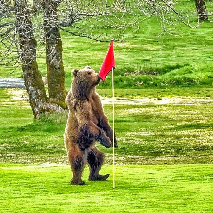 Bear Valley Golf Course